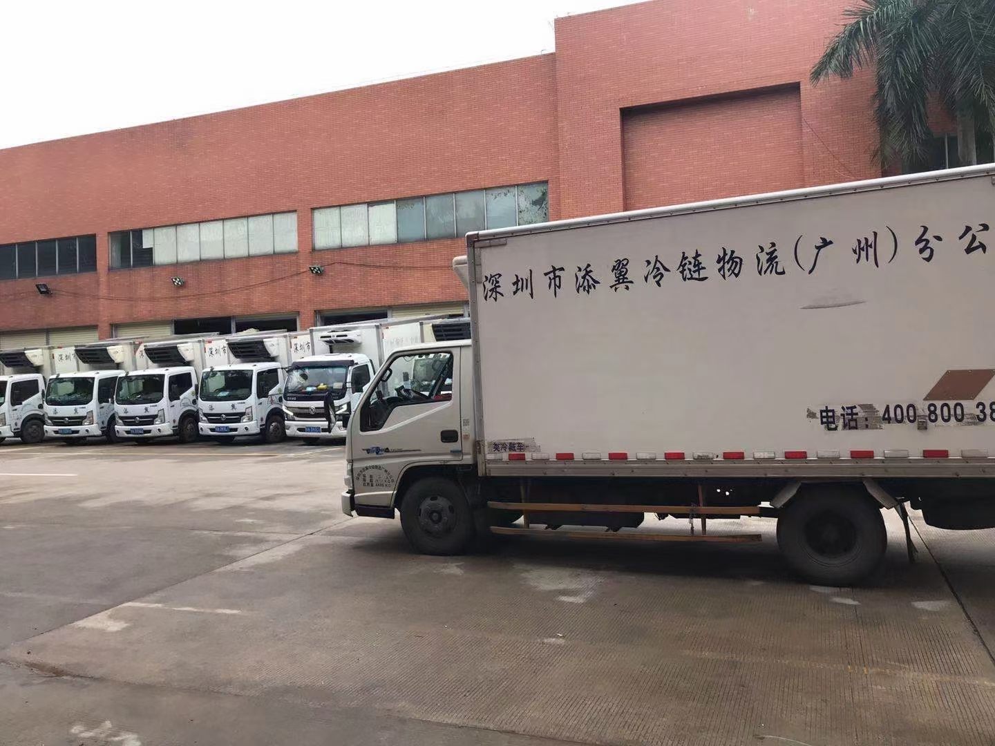 添翼冷鏈廣州公司(圖1)