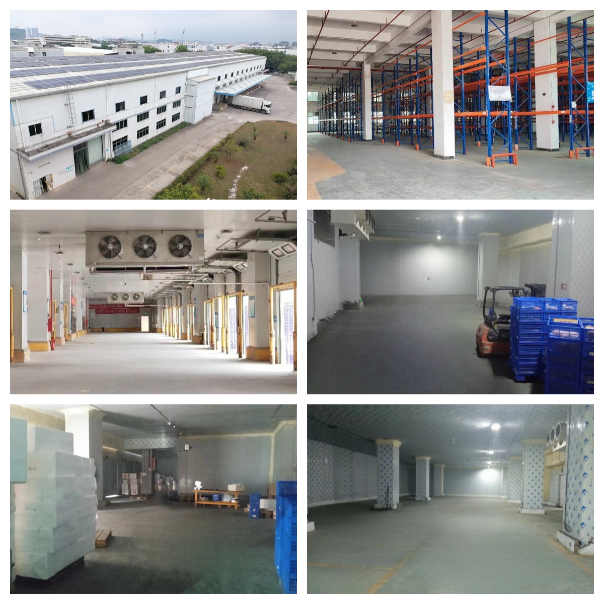 冷鏈倉儲管理(圖1) 冷鏈倉儲管理(圖1)