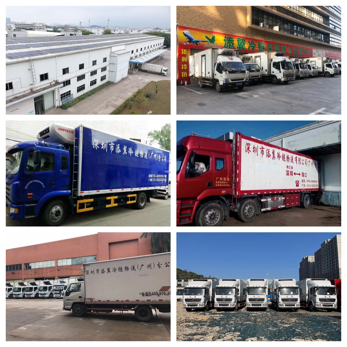 冷鏈城市配送(圖1)