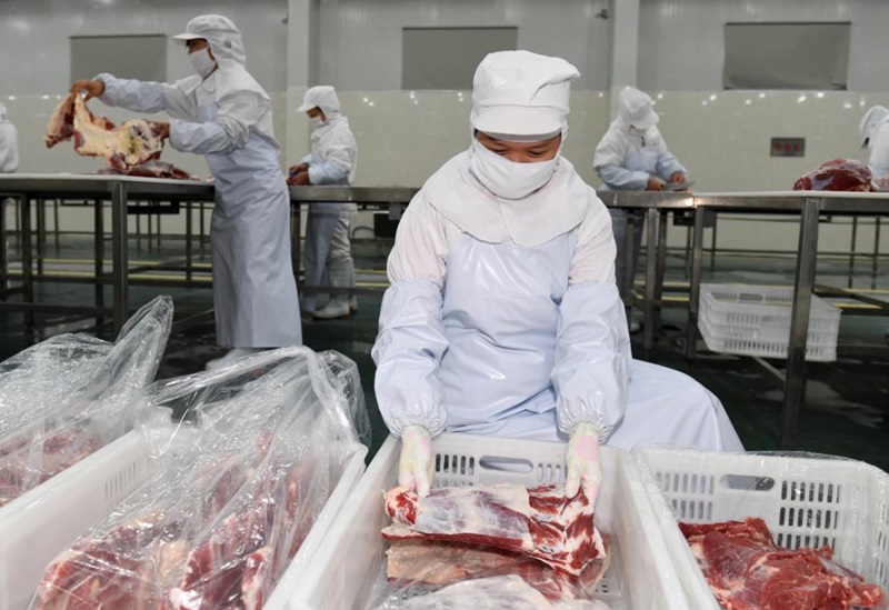 冷鏈運(yùn)輸牛肉要注意什么(圖1)