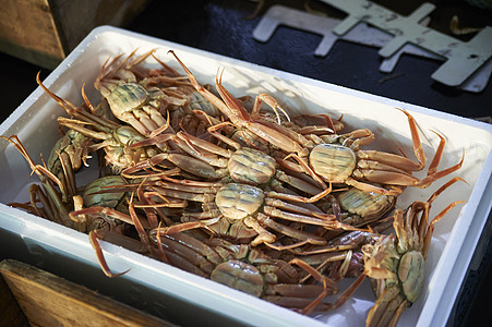 冷鏈運(yùn)輸螃蟹為什么是活的(圖1)