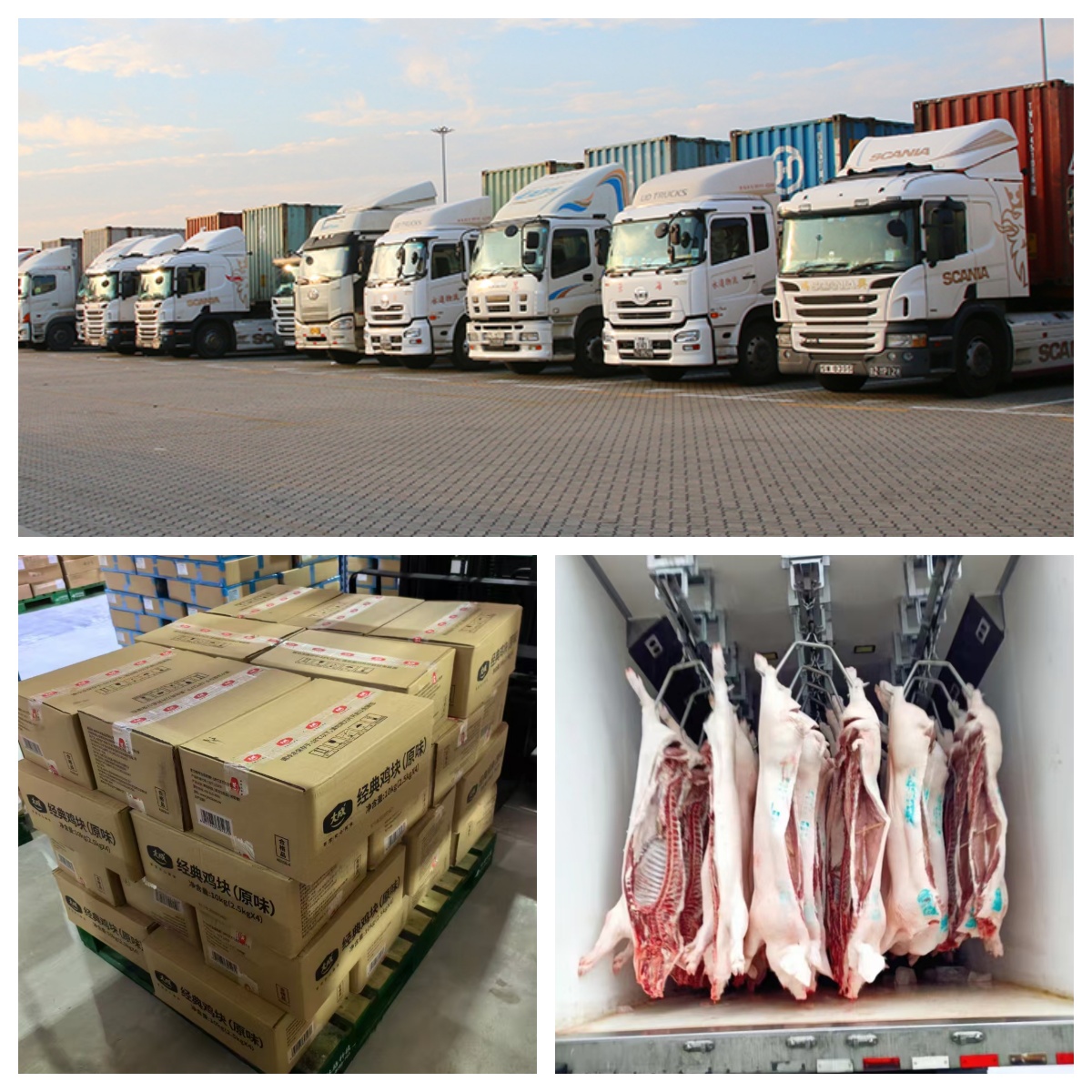 冷鏈配送(圖4)