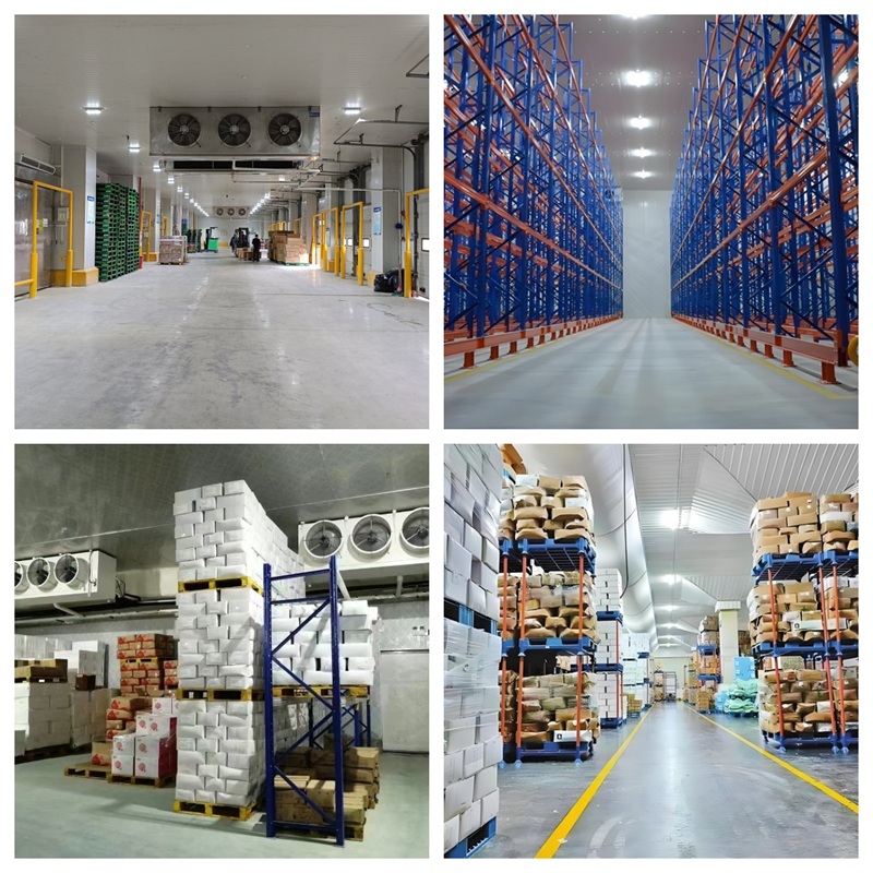 冷鏈倉(cāng)儲(chǔ)(圖1)